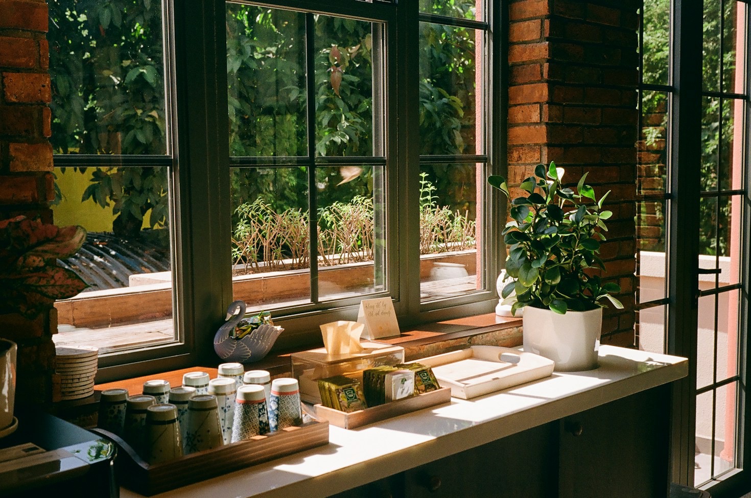 The Calming Powers of Chamomile and Lavender Tea
